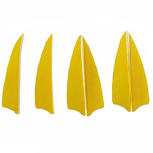 SHARROW 100 Stück Bogenschießen Naturfedern Pfeilfedern 3 Zoll Feder für Pfeil (Gelb)