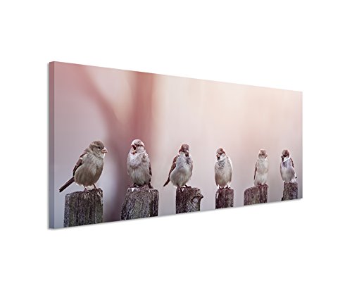 Unique Wunderschönes Wandbild 150x50cm Tierbilder – Spatzen auf Holzzaun