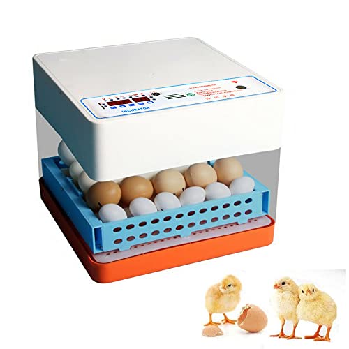 24 Eier Inkubator Vollautomatische, Brutmaschine Hühner Eier Brutgerät, Brutapparat mit Effizienter LED Beleuchtung Hatcher Maschine, für Hühnergans Ente Taube Wachtel Vogel