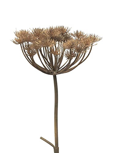 artplants.de Künstliche Blume Bärenklau MIANYAN, braun-grau, 100 cm - Künstliche Stielblume