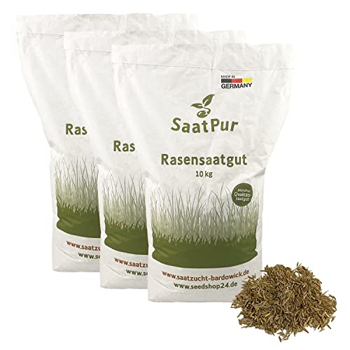 SaatPur® Rasensamen Schattenrasen 30kg für ca. 900 m², Mehrjährige Rasemischung aus mehreren Rasenarten, meistens 4 bis 5, satt grün, schnellkeimend, hitzetolerant, Neusaat und Nachsaat