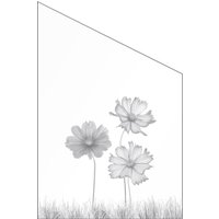 Ambiente Glaszaun Dekor 93 schräg 120 x 180/120 cm gehärtetes 8 mm Glas