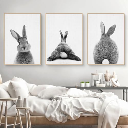 CULASIGN 3er Premium Kaninchen Poster Set, Tiere Hase Bilder Kinderposter Leinwand Wandkunst, Wandbilder Deko für Kinderzimmer Babyzimmer Mädchen Jungen, Ohne Bilderrahmen (50x70cm,DEF)
