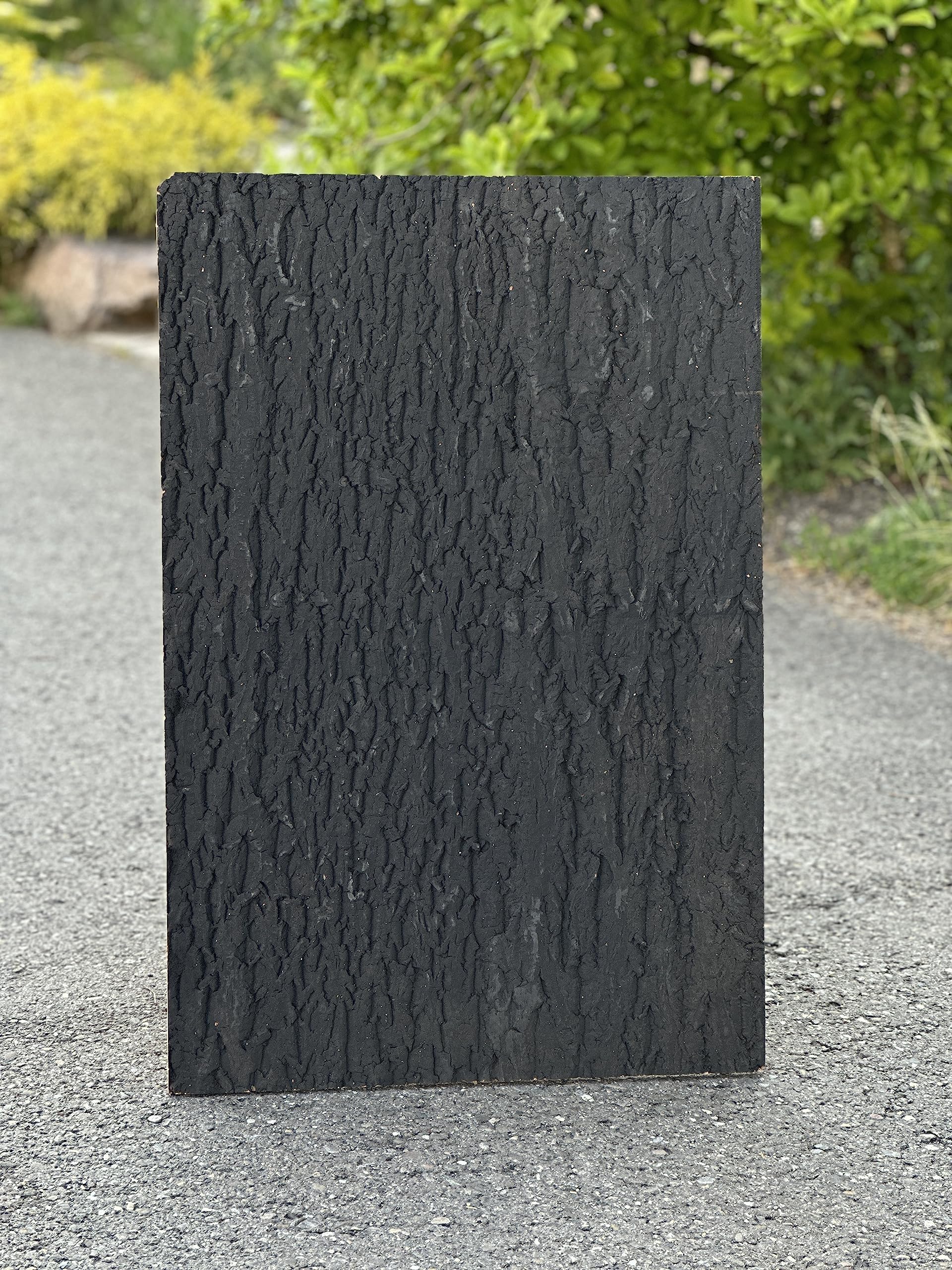 M&S Reptilien Zierkorkrückwand Black Nature Plattengröße 90 x 60 x 2cm (DPCT061B)