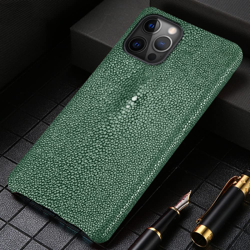 Grain Frosted Leather Phone Case for iPhone 12 Pro Max 12 Mini 11 13 Pro Max SE 2020 X XR XS MAX 6 6S 8 7 Plus Luxury Cover,Green,for iPhone 12 ProMax