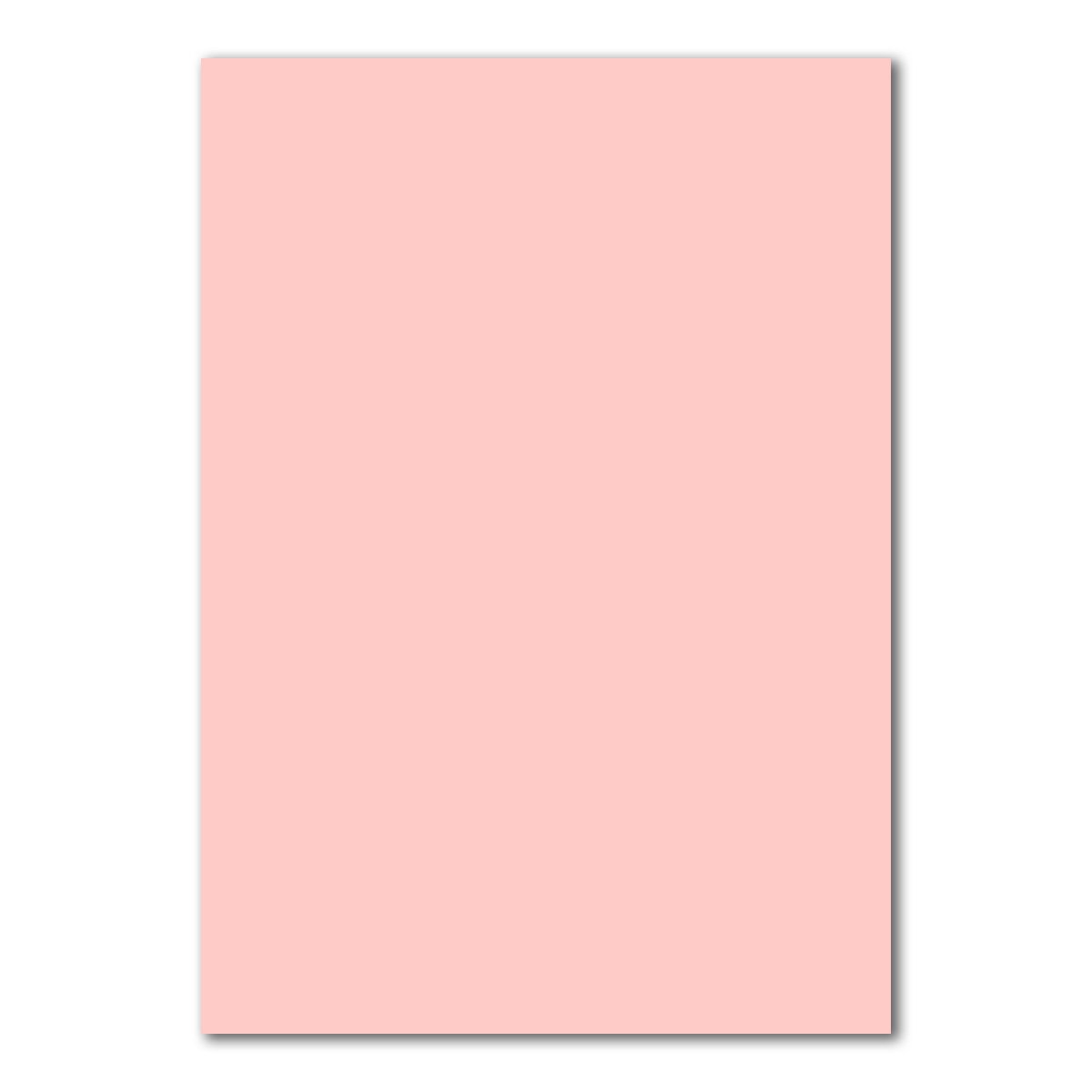 100 DIN A4 Papier-bögen Planobogen - Rosa - 240 g/m² - 21 x 29,7 cm - Bastelbogen Ton-Papier Fotokarton Bastel-Papier Ton-Karton - FarbenFroh