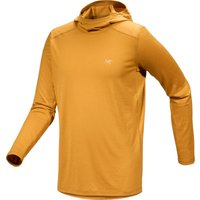 Arcteryx Herren Ionia Hoodie