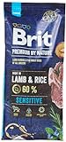 Brit Premium by Nature Sensitive Lamb & Rice - Dry Dog Food -15kg