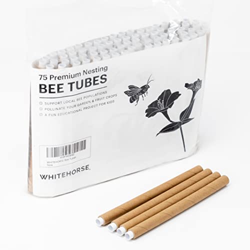 WHITEHORSE Hochwertige dicke Bienenröhren, 15,2 cm lang, austauschbare Kartonröhren, perfekt für Maurer-Imkerei (75 Stück)