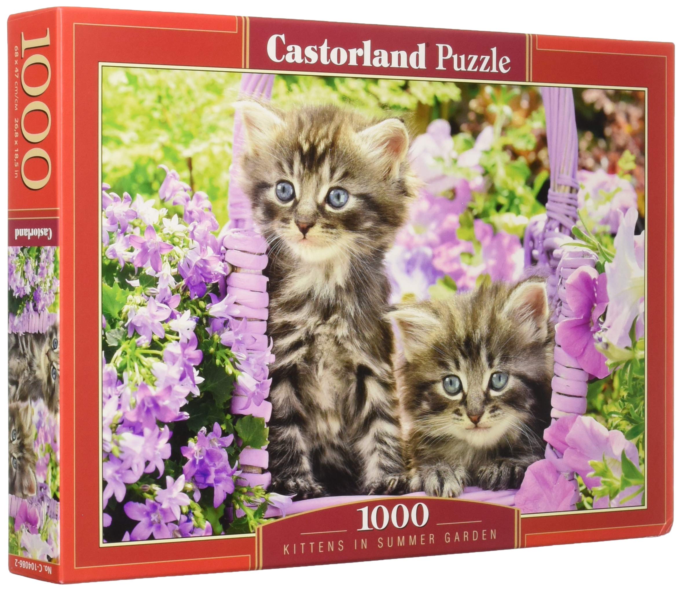 Castorland CSC104086 Kittens in Summer Garden, 1000 Tei Puzzle, Bunt
