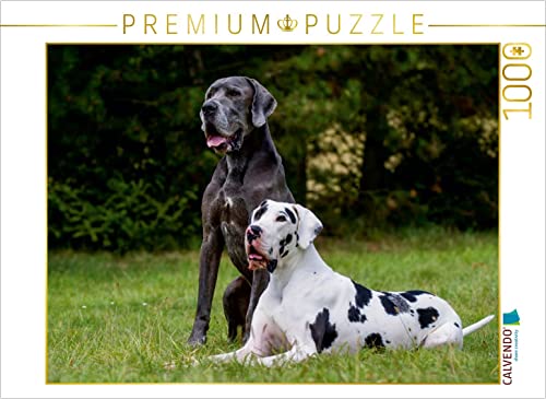 CALVENDO Puzzle Deutsche Dogge 2017 1000 Teile Lege-Größe 64 x 48 cm Foto-Puzzle Bild von Sista-Tierfoto