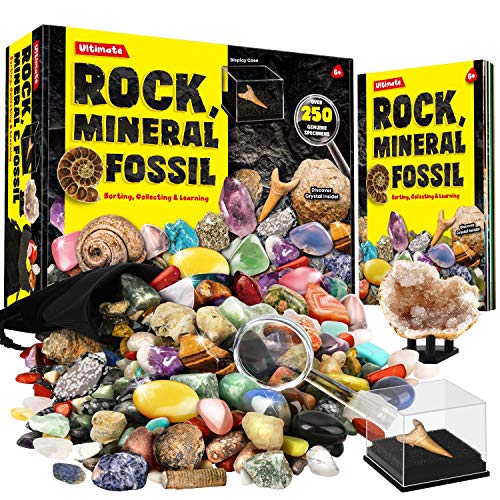 Dr. Daz Rock Fossil Mineral Collection Activity Kit enthält 250+ echte Exemplare, ultimative Vitrine, Fossilien, Edelsteine, Felsen, echte Mineralien für Kinder, tolles wissenschaftliches Geschenk für