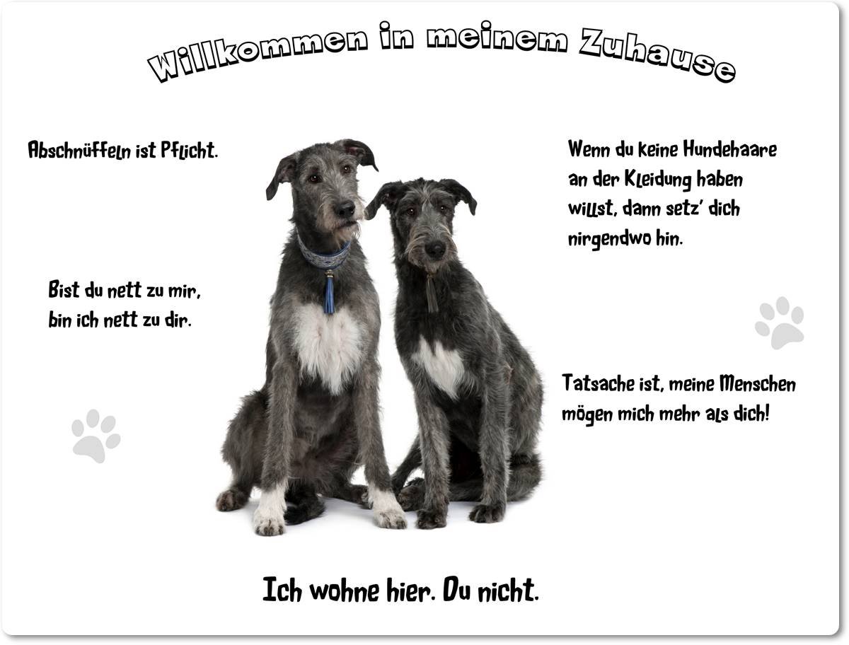 Merchandise for Fans Blechschild/Warnschild/Türschild - Aluminium - 30x40cm - - Willkommen in Meinem Zuhause - Motiv: Irischer Wolfshund Zwei Tiere sitzend - 01