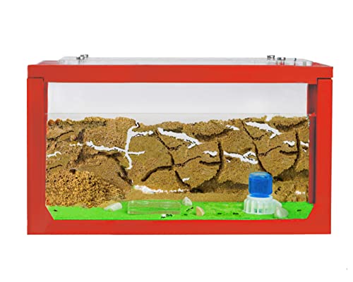 AntHouse - Natürliche Ameisenfarm aus Sand | 3D Starter Kit Rot 20x10x10 cm | Inklusive Ameisen