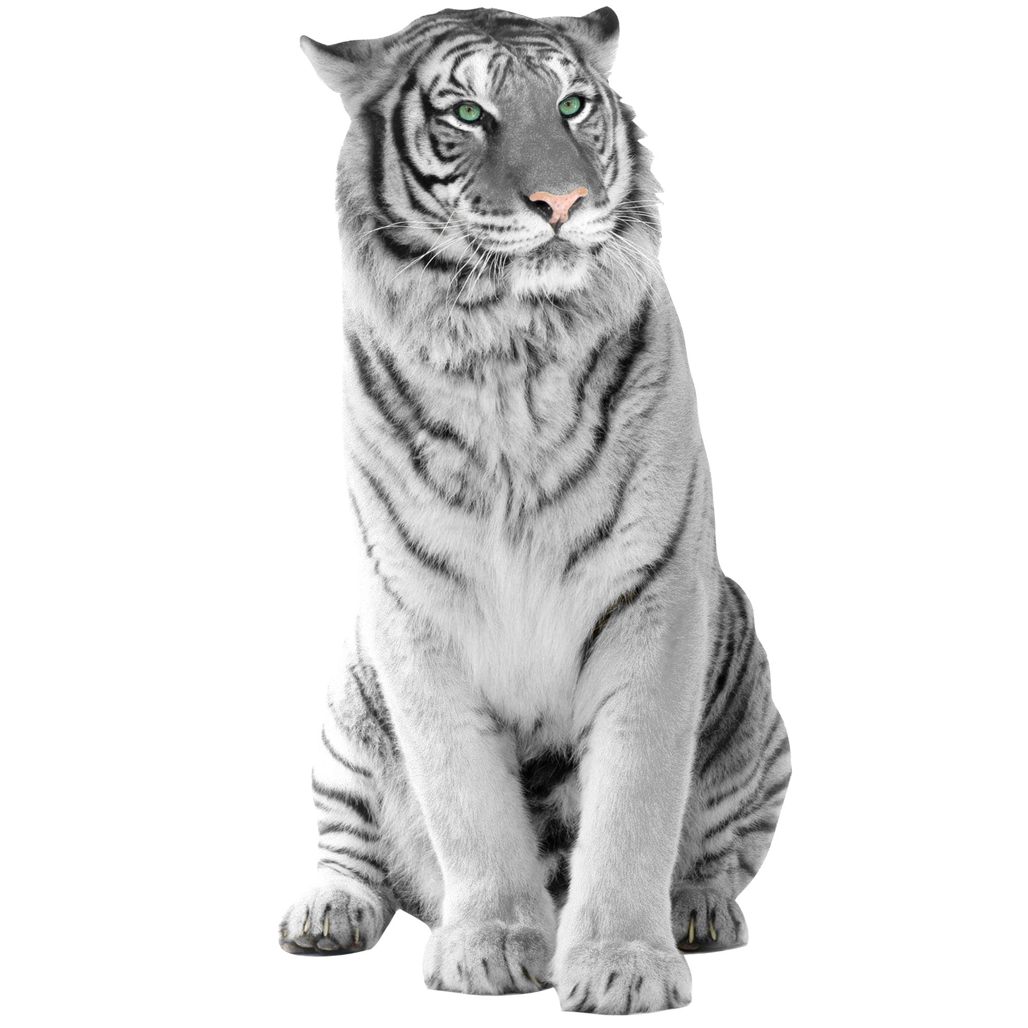 GRAZDesign Wandtattoo Tiger sitzend | Wandaufkleber Afrika | Wandsticker Deko Aufkleber 3d - 98x50cm