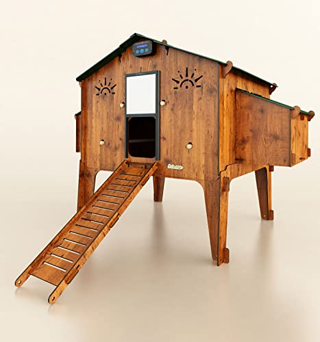 CUCCIOLOTTA Hühnerstall für 20 Legehennen + automatische Tür + Futterstation Polly Duplex 4XL Made in Italy