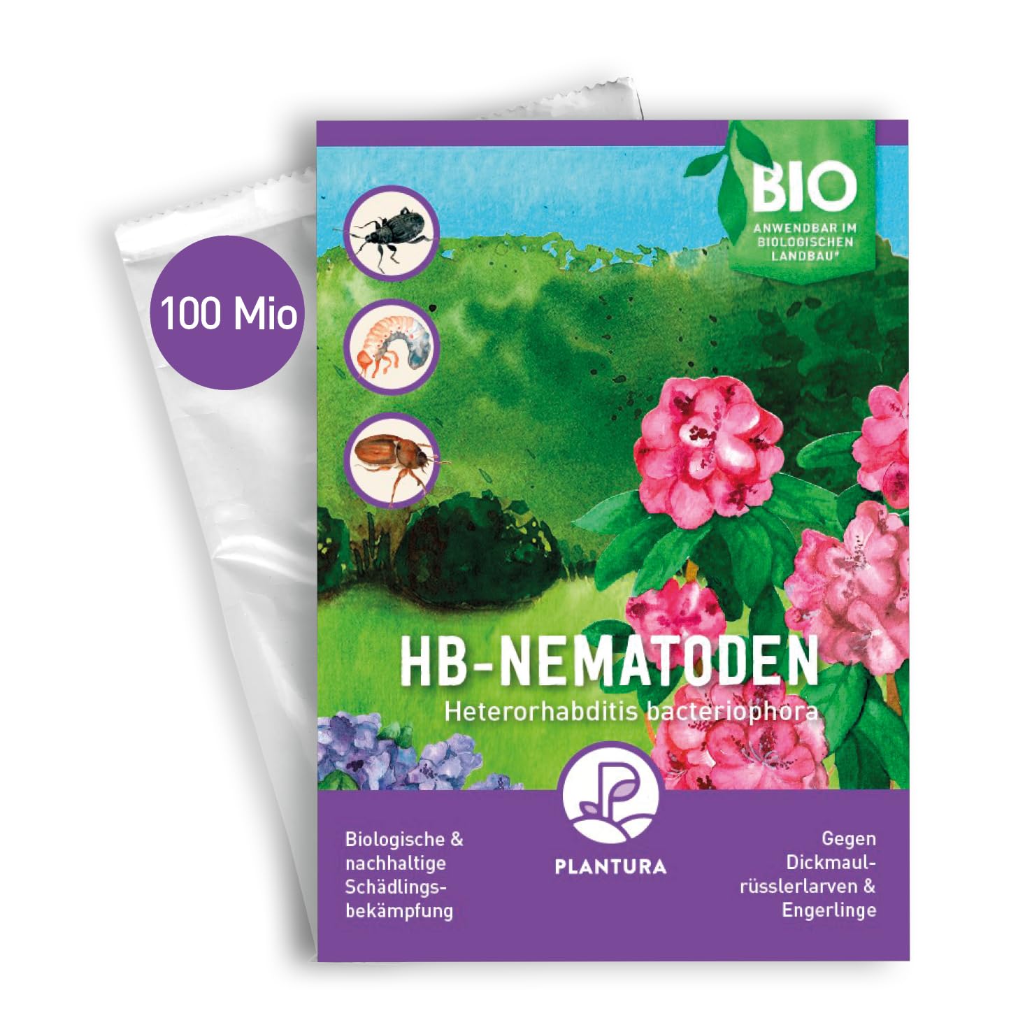 Plantura HB-Nematoden gegen Dickmaulrüssler & Engerlinge, Nützlinge, 100 Mio für 200 m²