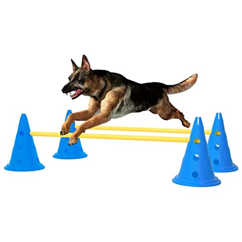 DCRAF Pet Agility Equipment Hundeaktivitätshindernis-Set, Blau und Gelb, Tiere & Haustierbedarf