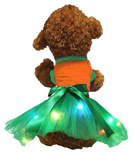 Petitebelle Hundekleid mit Tutu, einfarbig, mit LED-Licht, Größe XXL, Orange / Grün