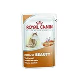 ROYAL CANIN Intense Beauty Frischebeutel Multipack, 4er Pack (48 x 85 g Packung)