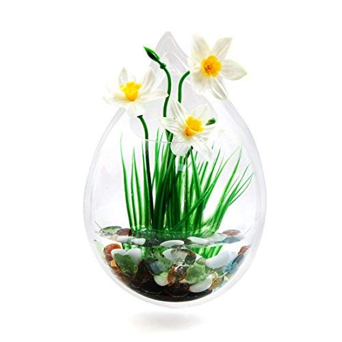 N/A Acryl Wandaufhängung Fishbowl Pflanze Bowl 7,9 Zoll hoch / 0,5 Gallon