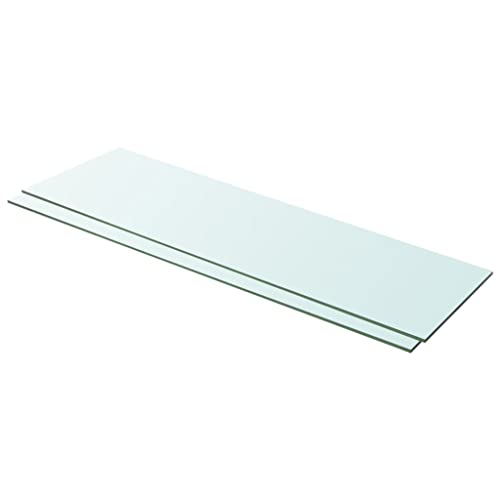 GeRRiT Regalboden Glas Transparent (Color : Transparent 2 STK, Size : 100 x 30 cm (L x B))