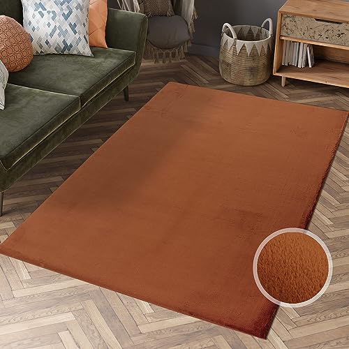 Hochflor Teppich Wohnzimmer - Einfarbig Terra - 80x150 cm - Super Soft Polyester, Flauschiger Flor - Fell-Teppiche für Schlafzimmer, Kinderzimmer, Jugendzimmer