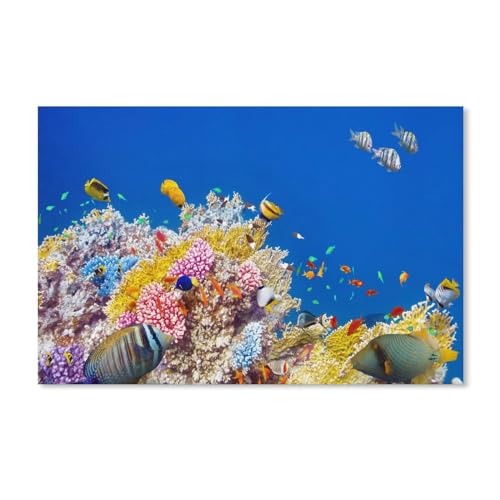Puzzle 1000 Teile，Unterwasserwelt, Korallen, Tropische Fische, bunt，DIY Handwerk Geschenk（52x38cm）-A186