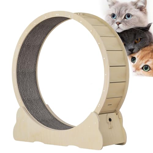 Cat Runner Wheel, Sicherheitsrücklauf-Katzen-Laufband für Innenkatzen, Katzenspinn-Übungsrad mit Verriegelungsvorrichtung, interaktiver Katzen-Spielzeug-Katzen-Gewichtsgerät,L