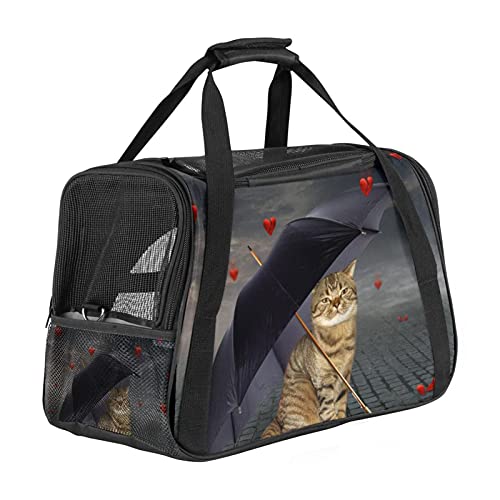Xingruyun Katze Transporttasche Lustige Katzen Hund Transporttasche Faltbare Tragetasche für Haustiere Hundetragetasche Katzentragetasche 43x26x30 cm