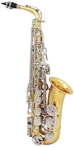 Altsaxophon-Saxophon, glänzendes Messing, graviert, EB, E-Flat, natürliches weißes Gehäuse, Knopf, Blasinstrument mit Fall, Dämpfer, Handschuhe, Gürtel