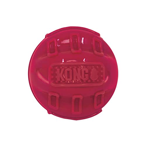 KONG Beezles Hundespielzeug, Größe M, sortiert