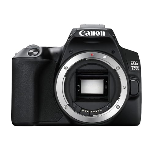 Canon EOS 250D Digitale Spiegelreflexkamera (24,1 Megapixel, 7,7 cm (3 Zoll) Vari-Angle Display, APS-C-Sensor, 4K, Full-HD, DIGIC 8, WLAN, Bluetooth) Gehäuse schwarz