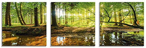 Artland Qualitätsbilder I Glasbilder Mehrteilig Wald mit Bach Deko Wandbilder Bilder 150 x 50 cm Landschaften Foto Grün D8SD