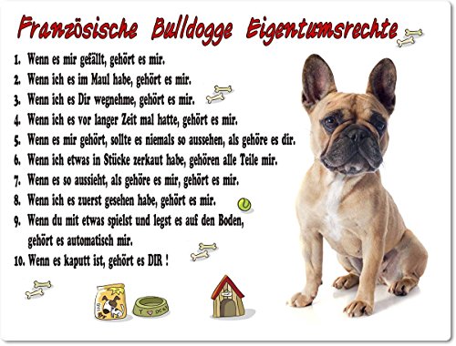 Merchandise for Fans Blechschild/Warnschild/Türschild - Aluminium - 30x20cm Eigentumsrechte Motiv: Französische Bulldogge (08)