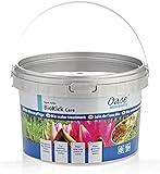 OASE 51288 AquaActiv BioKick Care natürliche Wasserpflege für Teiche 2 l - hochaktives Teichpflegemittel mit natürlichen Mineralien für klares Teichwasser im Gartenteich, Fischteich, Koiteich