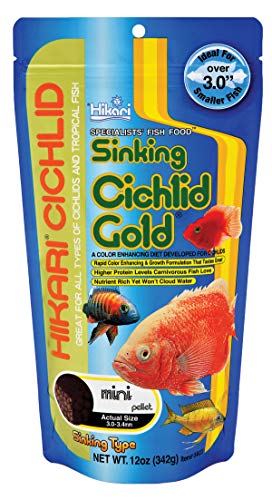 HIKARI USA INC. 49323/598 Hikari Cichlid Gold Sinking Mini Pellets (Size: 342g)