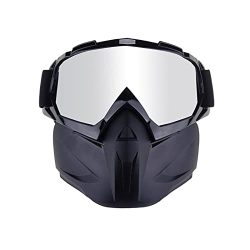 QINQIN Skibrille Unisex Reiten Skibrillen Sportski Snowboard Schutz Gesichtsmaske mit abnehmbaren Brillen fit for Jugendliche Erwachsene Jungen Mädchen (Color : 3)