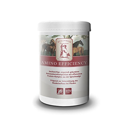 Mühldorfer Amino Efficiency, 750 g, fördert den Muskelaufbau, enthält essentielle Aminosäuren, getreidefrei, Ergänzungsfutter für Pferde und Ponys