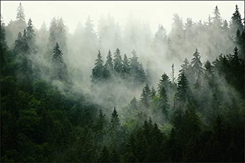 Muralo Fototapete Wald im Nebel 150 x 225 Vlies mystisch Panorama Pflanzenwelt - 167720496