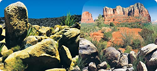 Reptiles-Planet Poster Desert Terrarium 2 Seiten 1, Rolle à 15 m, Höhe 50cm