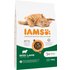 10 kg IAMS for Vitality zum Sonderpreis! - Ausgewachsene Katzen mit Lamm