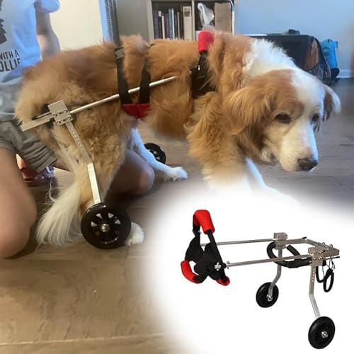 Rollstuhl für Hunde Atmungsaktivem Radstuhl für Hunde Hintere Beine, Unterstützung Kleiner/Med/Großer Haustiere Rehabilitationswagen, Leichtes Gewicht 2 Räder Hinterlimter Roller (Size : Widen XS S