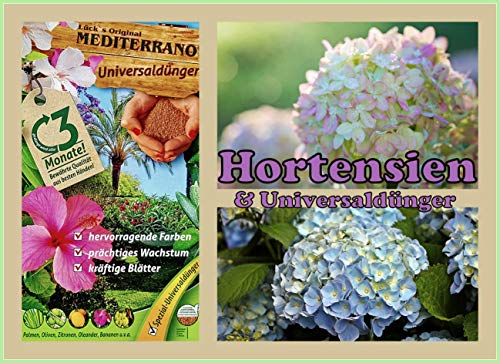 Hortensiendünger von Mediterrano 10 Kg Der Umwelt zu Liebe!