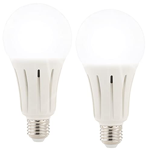 Luminea Tageslichtlampe: 2er-Set High-Power-LED-Lampen E27, 23 Watt, 2.400 Lumen, 6.500 K (Tageslicht Leuchtmittel E27)