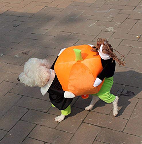 YiZYiF Hund tragen Kürbis Kostüm/Piratenkostüm komische Kleidung Katze Haustier Hundekostüm S-2XL (Large, Kürbis Kostüm)