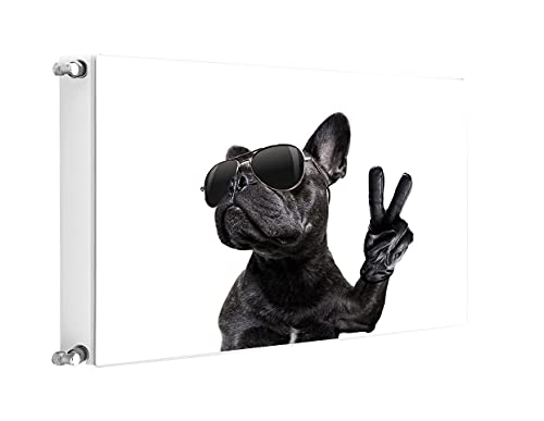 TMK Magnet Heizkörperabdeckung, Heizkörperverkleidung 80x60 cm, Hund