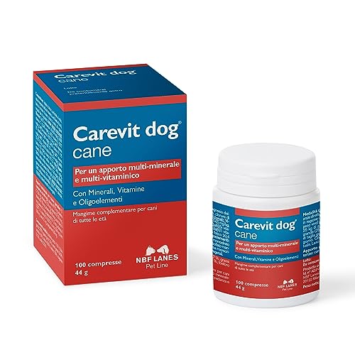 CAREVIT DOG MANGIME 100 COMPRESSE