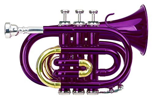 Classic Cantabile Brass TT-400 Bb-Taschentrompete (Messing, Schallbecher Durchmesser: 93 mm, Bohrung: 11,8 mm, Stimmung: Bb, inkl. Leichtkoffer, Mundstück, Putztuch, Handschuhe) violett