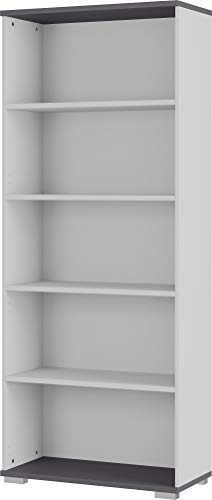 Amazon Marke - Alkove Aktenregal Palermo, ideal für Home Office, in Lichtgrau/Graphit, fünf Fächer in Ordnerhöhe, 80 x 200 x 40 cm (BxHxT)